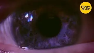 Native C - Today [Official Music Video]