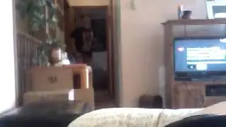 Mystical creature caught on camera