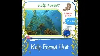 Kelp Forest and Sea Otters the Keystone Species NGSS 3-LS4-3; NGSS 3-LS4-4 NGSS Marine Science
