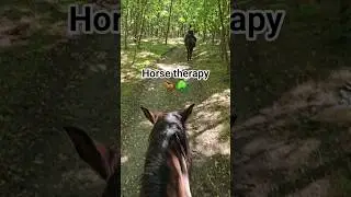 Just you, your horse and the calm of the forest #horsehack #trailride #equestrian