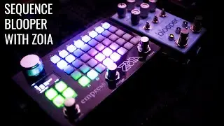 Using Empress Zoia to Sequence Chase Bliss Audio Blooper Modifiers