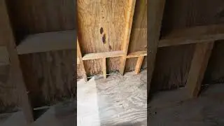 Shed repair!!!￼