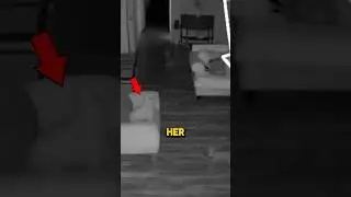 Her Dogs Visited From The Afterlife... #ghost #paranormal