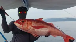 Deep Sea Jigging EP 7.  Hauled a 9.5Kg Ruby Snapper.