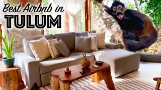 Best Airbnb in Tulum!