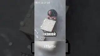 И в какой момент все пошло не так?..