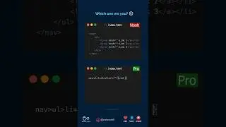 Noob vs Pro 