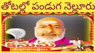 తోటల్లో పండుగ Nellore శుభాకాంక్షలు 🙏🌹🙏 బ్రహ్మశ్రీ రాపూరు నరసింహారావు గారు Live 🙏🌹🙏@RNRbhakti-y7w