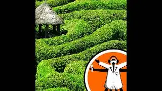 Protected land: UK facing biodiversity crisis