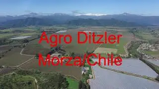 Agro Ditzler Morza   Chile 2018