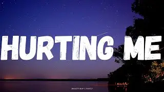 Liam Payne - Hurting Me (Lyrics)