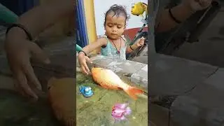 🐬Machli jal ki rani hai 🐬