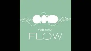 FLOW °17: 2025 im Rückspiegel mit Fülke Wagner