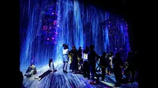 teamLab Borderless Tokyo: Digital Art Unleashed