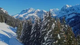 Grand Paradis: Trade it for the night?