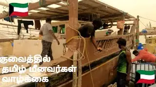 தமிழ் மீனவர்கள் குவைத் வாழ்க்கை.- Tamil fishermen's life in Kuwait