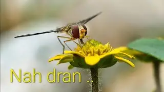 Nah dran..