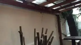 Pergola 2