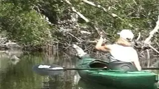 Sanibel Island--Kayaking & Birdwatching