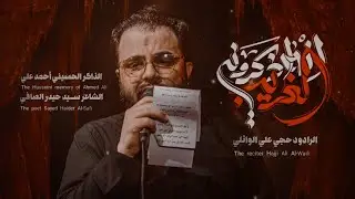 آنه الغريب أذكروني||علي الوائلي||سيد حيدر الصافي||هيئة حبيب اللّٰه صلى اللّٰه عليه وآلهِ||صفر1447ه‍