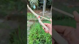 how to make diy powerful slingshots #bamboo #shorts #toys #slingshot #arrow