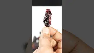 Mulberry Shake ASMR #shorts #food