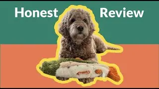 My Dog's All Time Favorite Toy After 5 Years- Fluff and Tuff Ruby The Rainbow Trout