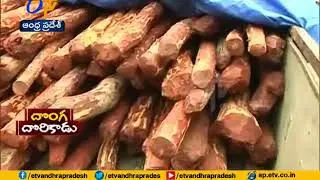 Red sanders smuggler Giribabu arrest at Kadapa