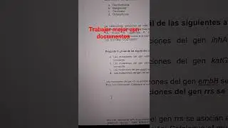 Trabajar mejor online con documentos de Google márgenes números de página y configuración general