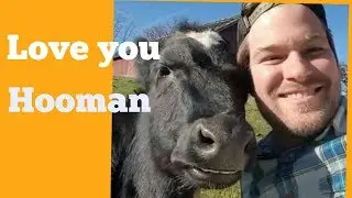 Beautiful compilation of animals love with humans