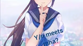 Mha meet Y/n (text story)