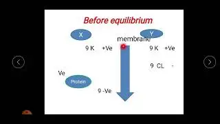 practical physiology of normal structure module Part (4) 2025 ( Donnan's effect)
