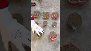 WOW So Relaxing Sand Cake फोड़ने में मजा आया 🎂ASMR FunVideo cool Sand Multiple process #shorts-feed