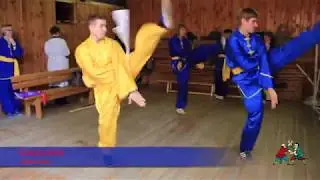 kung fu shaolin # 1