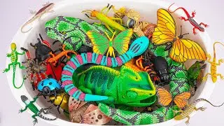 Ultimate ZURU Robo Alive Insects ASMR 🦎 Chameleon, Snake, Spider, Lizard, Worm (No Talking)