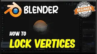 Blender How To Lock Vertices