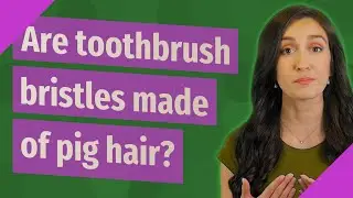 Are toothbrush bristles made of pig hair?