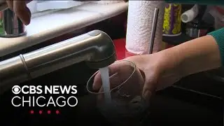 Fluoride in community water can boost cognitive abilities, study finds | Health Watch