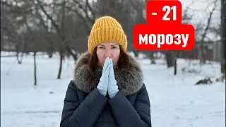 Лютий холод: пішли гуляти й зустріли коней