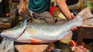 Attractive!! Coral Fish Cutting by Village Fish Cutting Expert || #shorts#fishcutting_skills