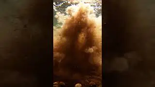 🔥 P288 C1 1764869461751 2K - You Won't Believe This! ✨