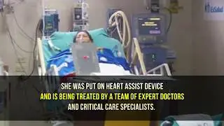 Jayalalithaa Suffers Cardiovascular Disease| Health Condition Critical | Apollo Hospital |