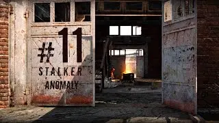 S.T.A.L.K.E.R. Anomaly #11 (Ученый)
