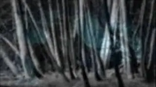 Lemonsoul - No Fear.wmv