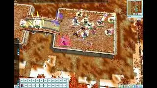 Slime Pirates Online Beta - PK Event (Tales Of Pirates 2026)
