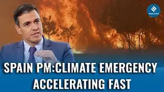 Spain PM Pedro Sanchez: Climate Emergency Worsening as Wildfires Devastate Country
