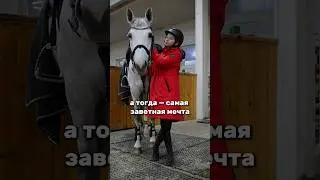 #horse #equestrian #jumping #лошади #horsejumping #pony #riding #dressage #horseriding #eq