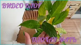 ☆ВИДЕО ВЛОГ☆ серия 15 - СОЧЕЛЬНИК☆ 18.01.26.