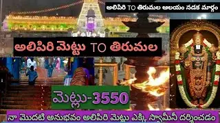 #అలిపిరినుంచి తిరుమలవరకు నడక మార్గం#tirupatibalaji#tirumala#tirupati#alipiristeps#god#tirending#
