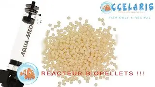 REACTEUR BIOPELLETS !!!
